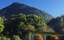 Lodge at Mount Totumas, Chiriquí, Panama