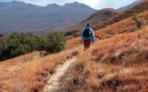 Mehloding Trail – Guide ©Woitscheck