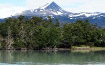 Tour through the "Ultima Esperanza" Fjord, Torres del Paine Nationalpark, Chile