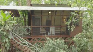 Maquenque Lodge, Baumhaus