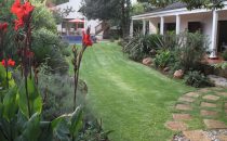 Lucky Bean Guesthouse, Johannesburg, South Africa