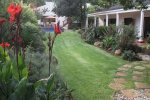 Lucky Bean Guesthouse, Johannesburg, Südafrika