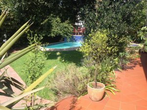 Lucky Bean Guesthouse, Johannesburg, Südafrika