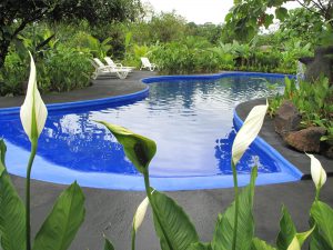 Maquenque Lodge, Pool