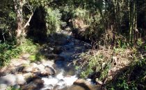 Tierradentro - river, Colombia