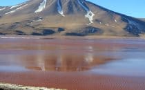 Laguna Colorada, Bolivia © Bertram Roth