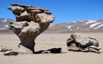 Arbol de Piedra, Bolivien