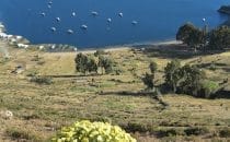 Isla del Sol, Titicacasee, Bolivien © Bertram Roth
