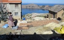 Kartoffeln werden getrocknet, Isla del Sol, Titicacasee, Bolivien © Bertram Roth
