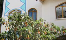 Hotel La Cupula, Copacabana, Titicacasee, Bolivien