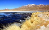 Laguna Hedionda, Altiplano, Bolivien
