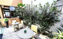 3 B Barranco's B&B, Lima, Peru