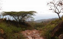 Hike on the Camino Lengerke to Guane, Colombia