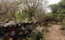 Hike on the Camino Lengerke (Camino Real) to Guane, Colombia