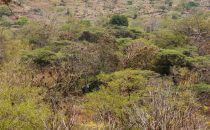 Hike on the Camino Lengerke (Camino Real) to Guane, Colombia