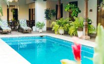 Bioma Pool