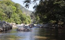 Tayrona Paradise, Tayrona National Park, Colombia
