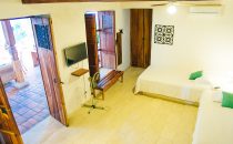 Bioma Suite