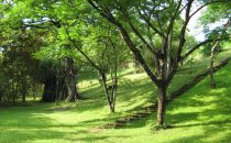 Horizontes de Montezuma