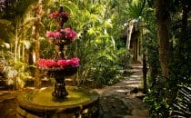 Posada Del Hidalgo Fountain, El Fuerte, Mexico