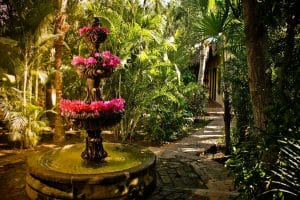 posada-del-hidalgo-brunnen