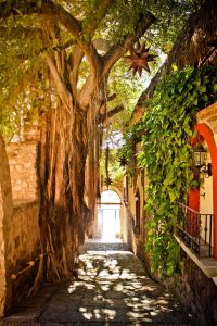 Eingang, Posada del Hidalgo, El Fuerte