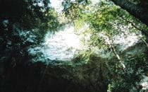 Rio Frio Cave, Belize