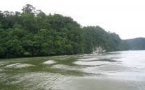 Rio Dulce - Guatemala