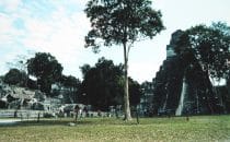 Plaza in Tikal, Guatemala