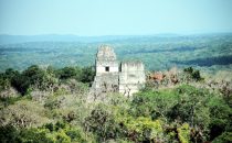 Blick von Tempel 4 in Tikal, Guatemala