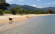 Strand von Trujillo, Honduras © Tranquillity Bay Resort