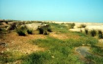 Uniab Delta, Namibia