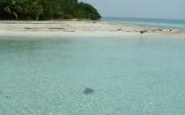 West Snake Caye, Belize