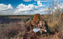 Sundowner, Waterberg Plateau Lodge