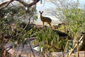 Waterberg Plateau Lodge, Waterberg, Namibia