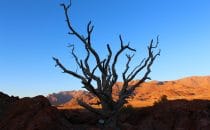View of the Brandberg from White Lady Lodge, Namibia