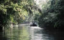 Tortuguero National Park, Costa Rica