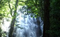 waterfall in the Rincón de la Vieja National Park, Costa Rica