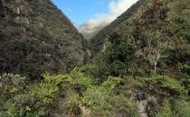 Chorotrail, Bolivia © Bertram Roth