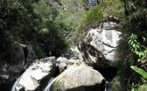 Chorotrail, Bolivia © Bertram Roth