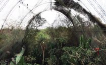 Biocentro Güembé, Santa Cruz, Bolivien