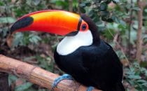 Biocentro Güembé, Santa Cruz, Bolivien