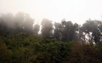 Amistad National Park, Panama