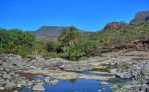 Fahrt Loreto - San Javier © Kirt Edblom