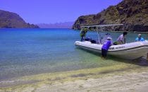 Isla Danzante © Kirt Edblom