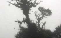Amistad National Park, Panama