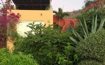 Los Colibris, Todos Santos, Baja California, Mexiko