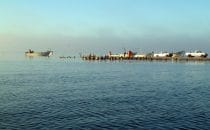 Harbour, Puerto San Carlos, Baja California Sur, Mexico © Albertine Psula