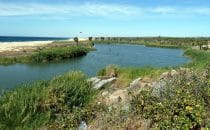 Lagune in Todos Santos, Baja California, Mexiko