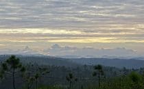 Mountain Pine Ridge, Belize